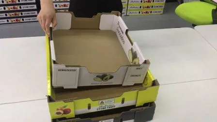 Caixa de papelão ondulado tamanho grande para embalagem de frutas e vegetais (FP020007)