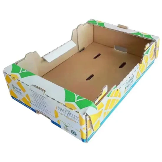 Caixas de frutas de embalagem corrugada para impressão Cmyk para envio de produto de caixa de papelão isolada