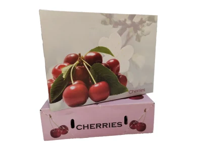 Caixa de papelão ondulado dobrável impressa para frutas frescas